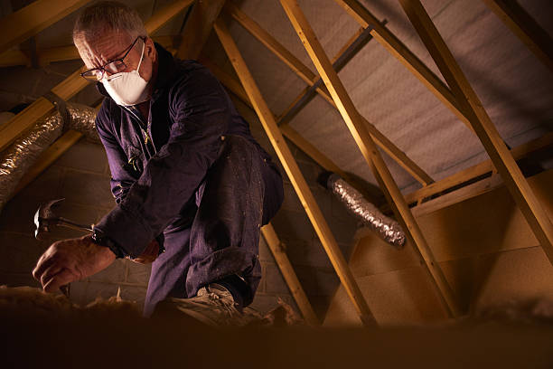 Best DIY Insulation Kits and Guidance in North Little Rock, AR